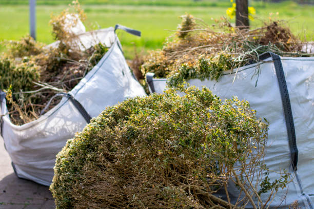 Best Construction Debris Removal  in Mcmechen, WV